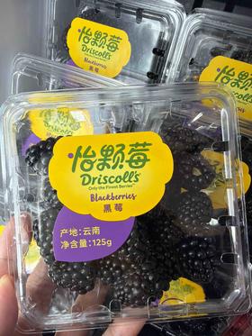 云南怡颗莓黑莓（125g/盒）