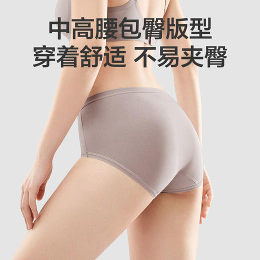 MM 山姆 Member's Mark 莫代尔女士内裤 混色 商品图9