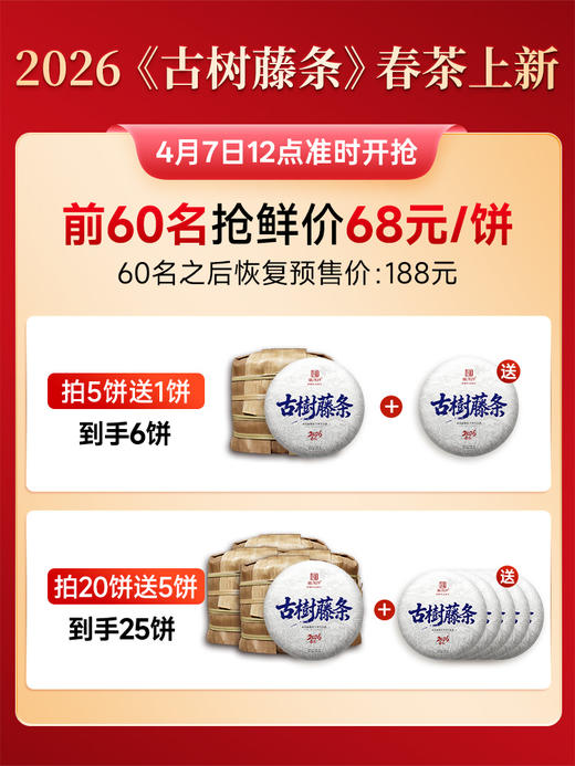 4.9日12点开抢；2026年古树藤条普洱茶，2022年头春茶临沧坝糯普洱茶生茶饼200g 商品图1