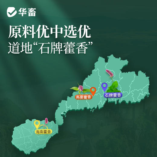 【社群专享】华畜冰爽一夏兽用藿香正气解暑降温猪牛羊鸭抗应激养鸡场降暑增食 商品图2