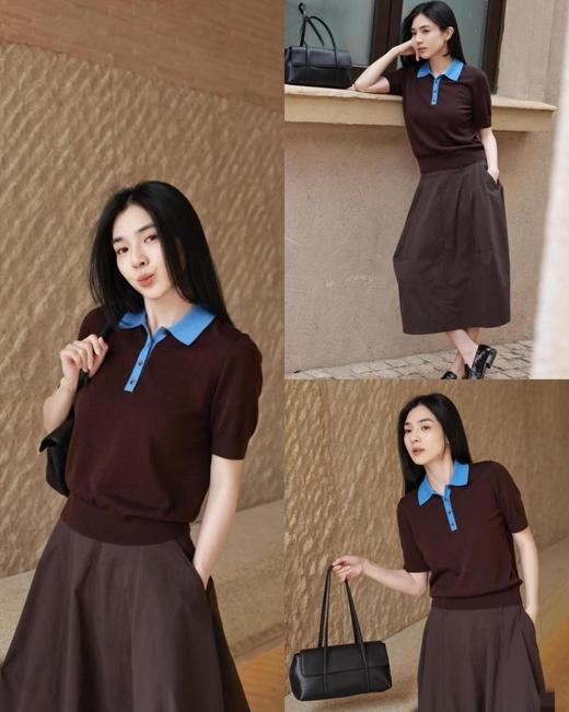 C*S独家正品剪标精炼老钱高智Polo衫 商品图5