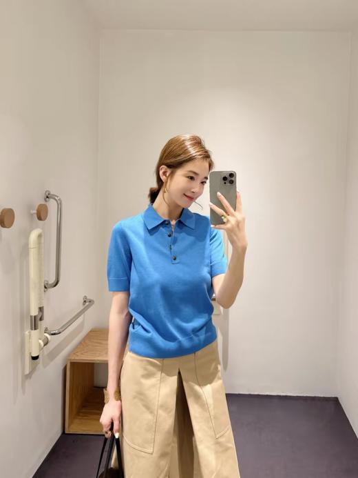 C*S独家正品剪标精炼老钱高智Polo衫 商品图9