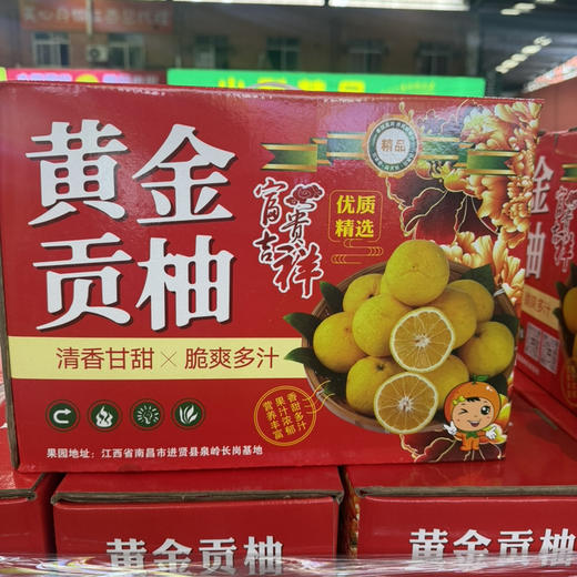 黄金贡柚 口感纯甜 爆汁 果肉细腻 推荐34.9/件 10斤装 净果约9斤上下 商品图2