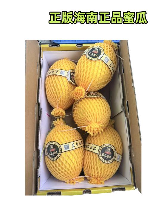 正版海南正品蜜瓜 商品图0