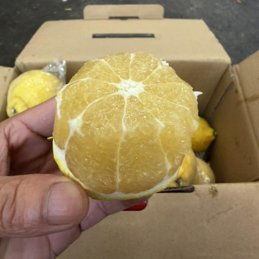 黄金贡柚 口感纯甜 爆汁 果肉细腻 推荐34.9/件 10斤装 净果约9斤上下 商品图0
