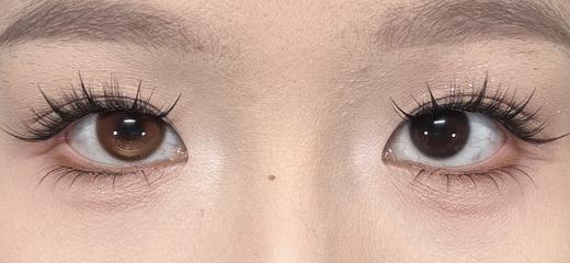 Mixmixx半年抛·腹黑千金/娇憨千金Pro/财阀千金/富家千金·14.5直径·中大着色·2片 商品图8