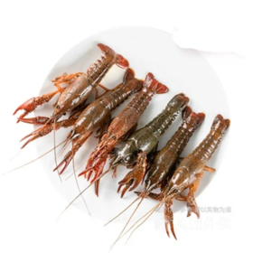 【超市】鲜活小龙虾500g(约32-35只）