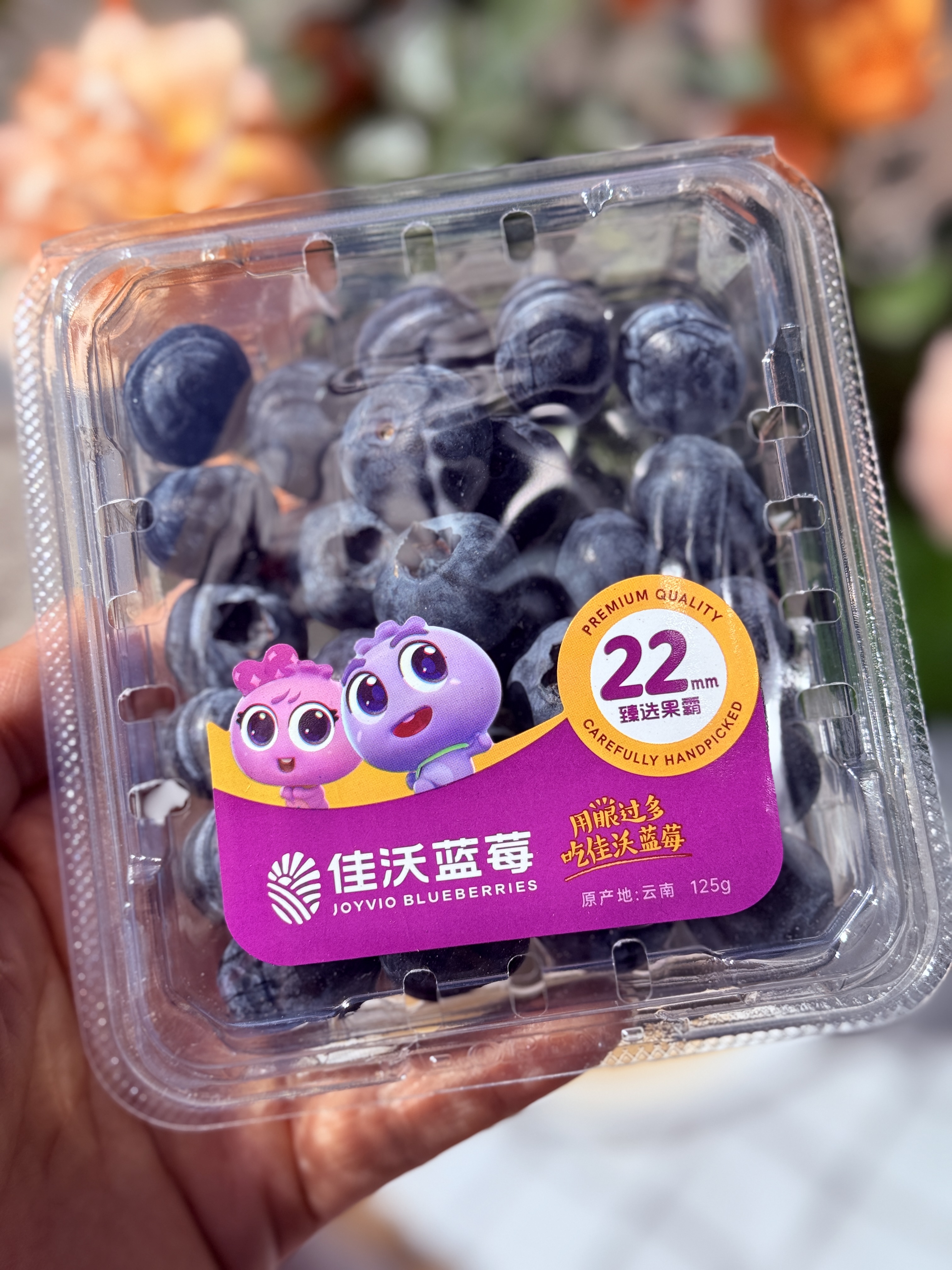 佳沃花香22+大蓝莓