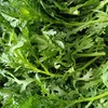 茼蒿（5元一斤） 商品缩略图0