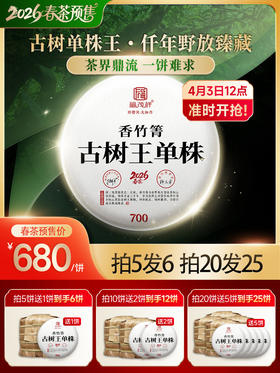 【香竹箐古树王单株】2026年古树茶香竹箐单株普洱生茶357g饼茶