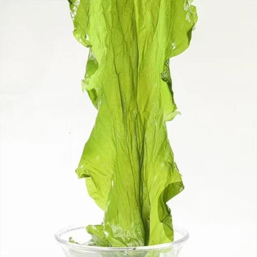 【48h发货 有机海带嫩芽】有机认证 一箱一码 非人工养殖 40米深海自然生长 入口嫩滑 味道鲜美 商品图1