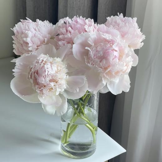 芍药丨雪纺冻糕【买一送一】 商品图2