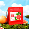 艺福堂红心西柚片80g/袋 商品缩略图1