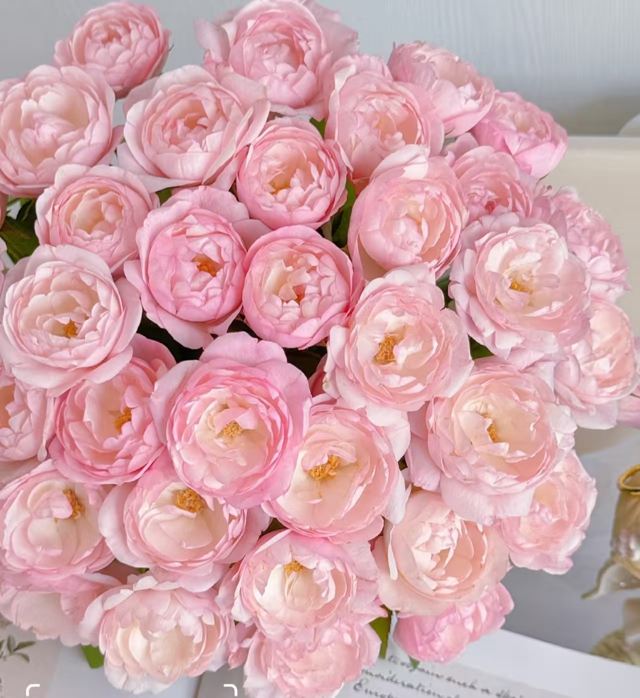 多头玫瑰 | 草莓杏仁饼