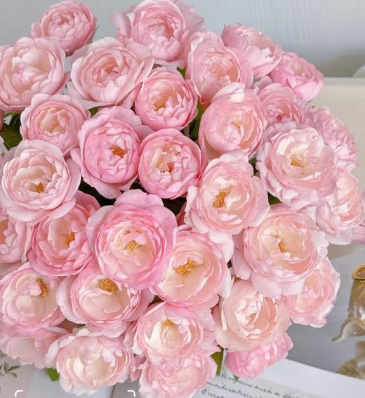 多头玫瑰 | 草莓杏仁饼 商品图0