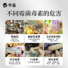 华畜 黄赤马 不含蒙脱石 专项分解酶 生物降解菌 商品缩略图2