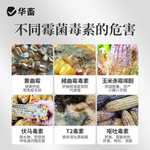华畜 黄赤马 不含蒙脱石 专项分解酶 生物降解菌 商品图2