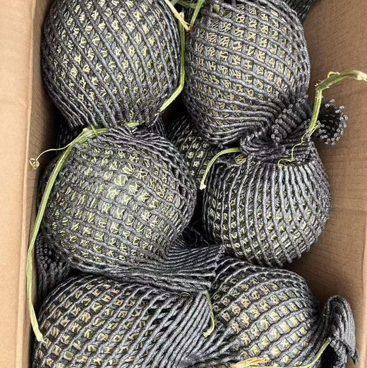 口口蜜🍈网纹瓜 约2..5斤 15.8/个 新货需放软 口感绵甜 商品图4