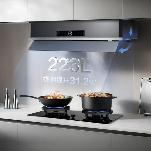 海尔（Haier）烟机 CXW-358-E900S70UD 商品图10