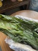 【48h发货 有机海带嫩芽】有机认证 一箱一码 非人工养殖 40米深海自然生长 入口嫩滑 味道鲜美 商品缩略图3