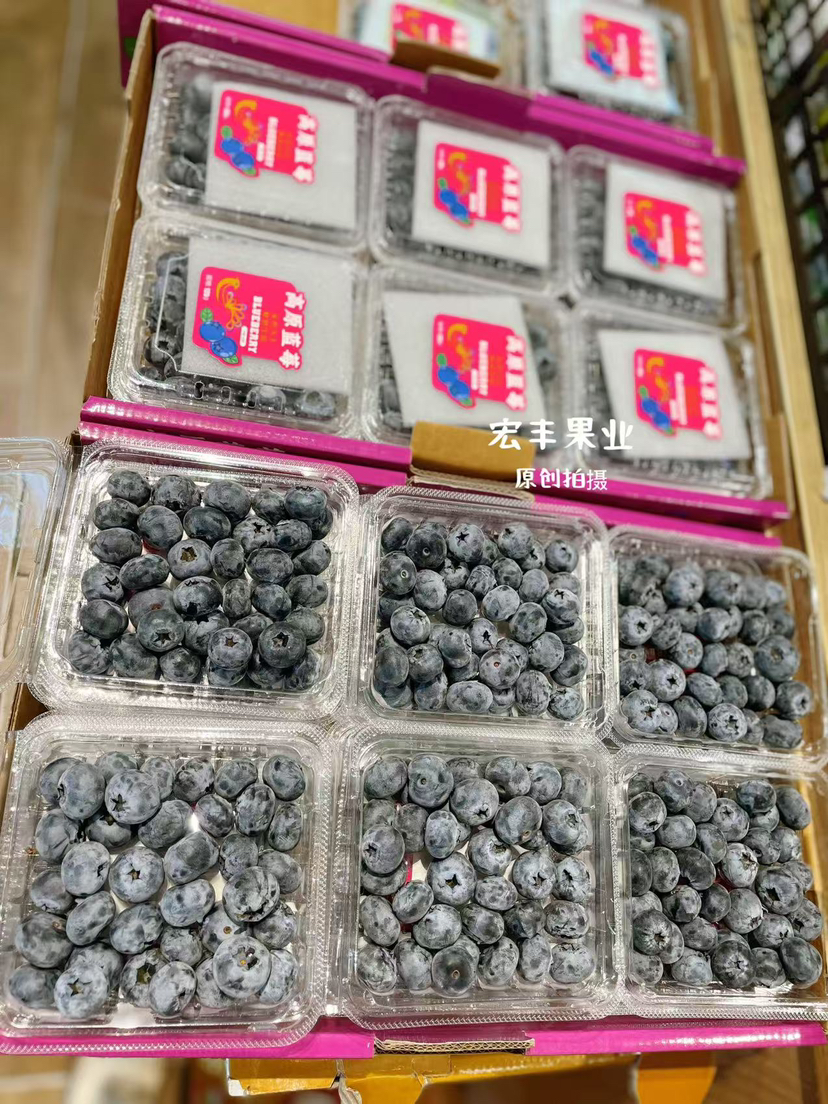 宏丰精选  云南纯甜蓝莓，果粉足，纯甜，活动价15元/2盒