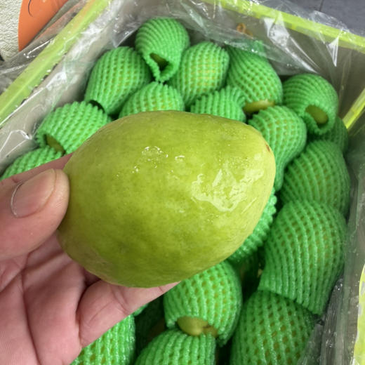 云蜜枣 皮薄肉嫩 脆甜多汁南 商品图0