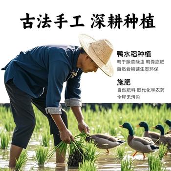 花中花 彝品香米10斤 原彝家香米南方大米 一级香米 长粒米10斤真空包装 /粮油调味 /米 /其他大米 商品图2