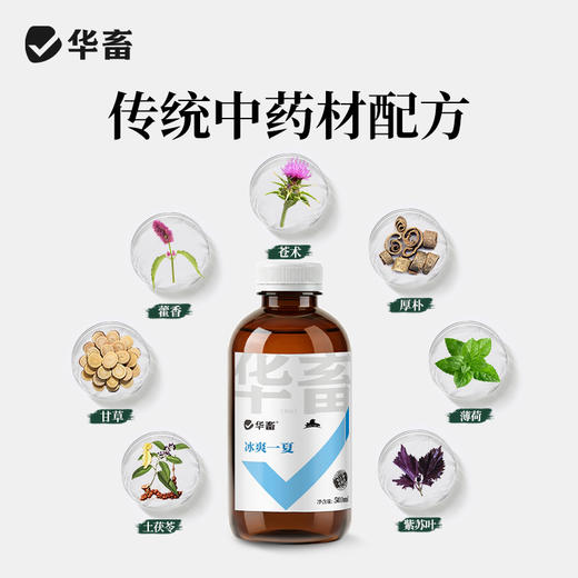 【社群专享】华畜冰爽一夏兽用藿香正气解暑降温猪牛羊鸭抗应激养鸡场降暑增食 商品图3