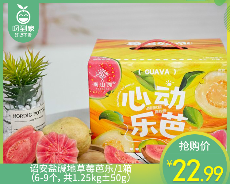 诏安盐碱地草莓芭乐/1箱（6-9个，共1.25kg±50g）