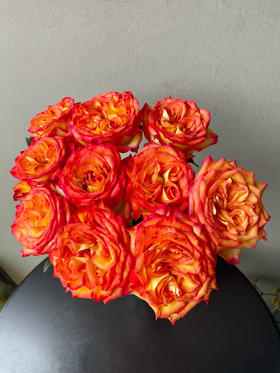 A级凤凰钗单头玫瑰3扎