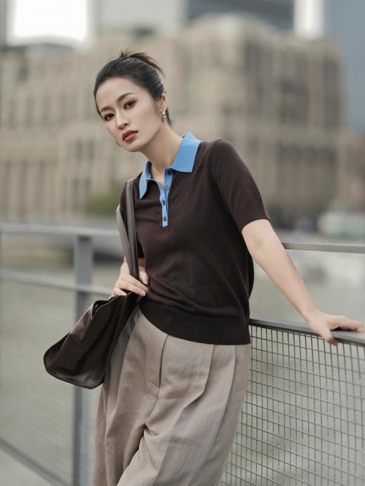 C*S独家正品剪标精炼老钱高智Polo衫 商品图4