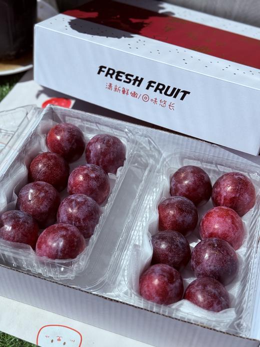 澳洲珠宝李 商品图4