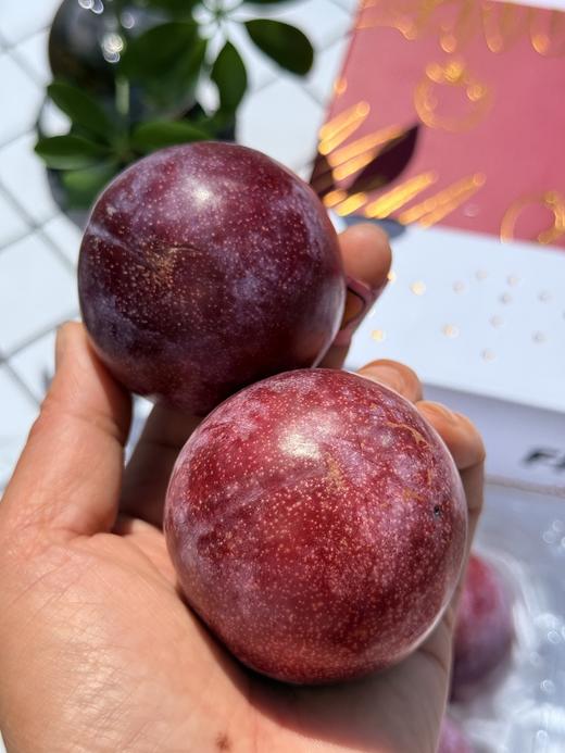 澳洲珠宝李 商品图1