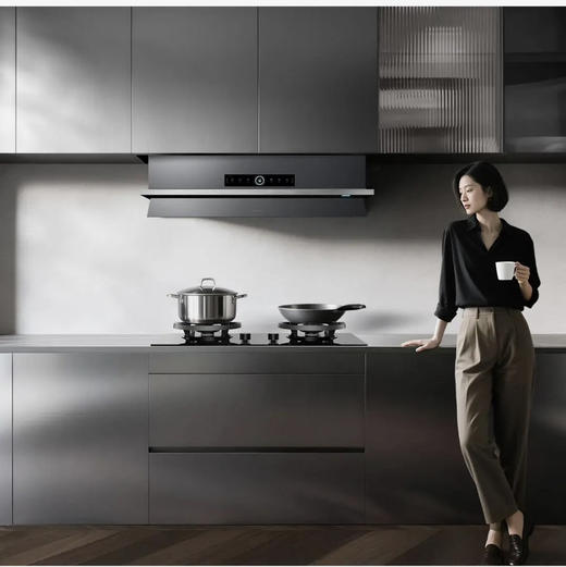 海尔（Haier）烟机 CXW-358-E900S70UD 商品图9