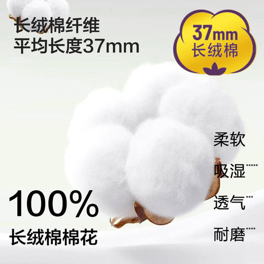 MM 山姆 Member's Mark 长绒棉女士中筒袜 基础色 商品图3