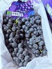 蓝莓葡萄 商品缩略图5