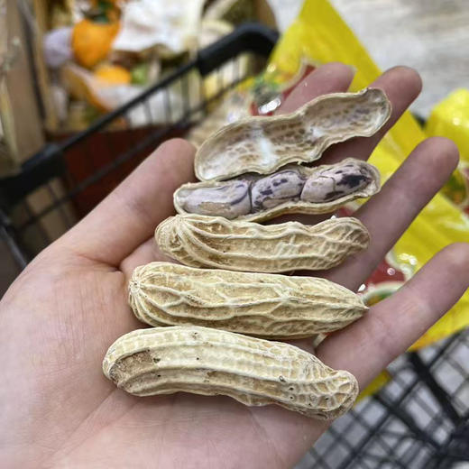 宏丰精选  七彩咸香花生   香香脆脆 超级好吃  活动价25一袋 商品图3