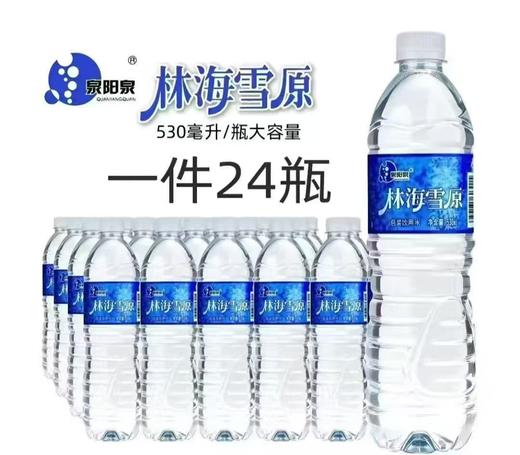 530mL*24瓶/件【泉阳泉出品】林海雪原包装饮用水疯抢76万+瓶【一楼自提】 商品图2