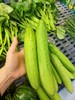 黄瓜，1斤 商品缩略图0