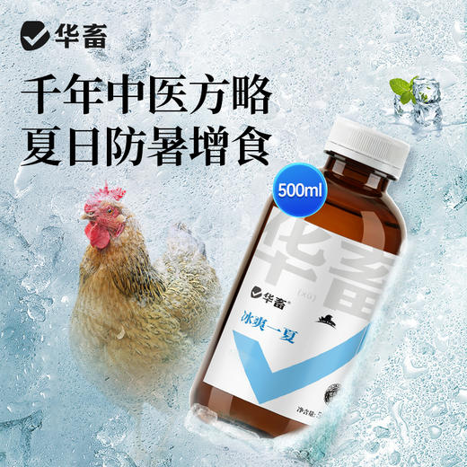 【社群专享】华畜冰爽一夏兽用藿香正气解暑降温猪牛羊鸭抗应激养鸡场降暑增食 商品图0