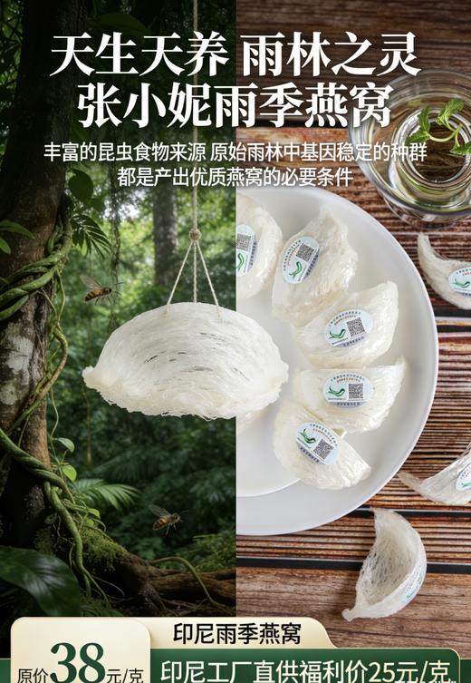 印尼工厂雨季燕窝直供 商品图1