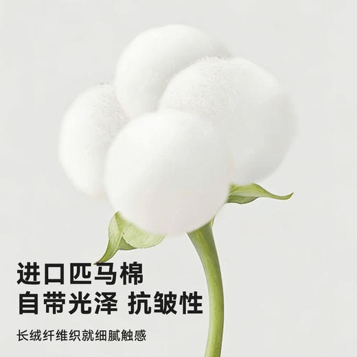 MM 山姆 SCHIESSER男针织休闲服（上衣）黑色+灰色 商品图4