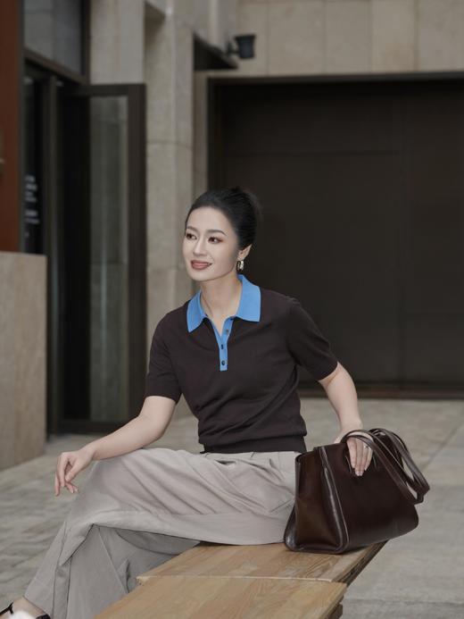 C*S独家正品剪标精炼老钱高智Polo衫 商品图2