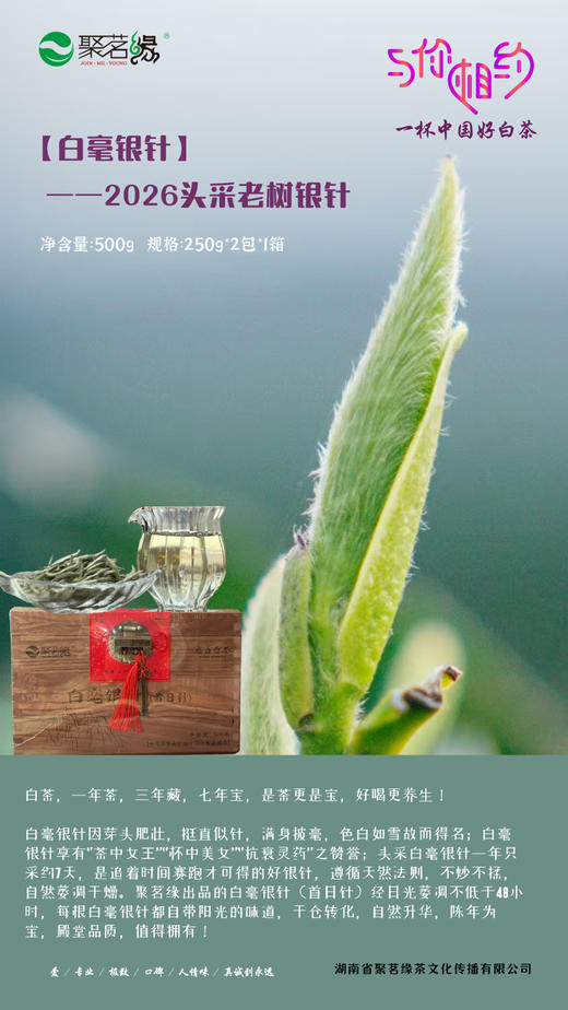 春茶上市 ｜福鼎白茶【白毫银针·老树银针，2026丙午马年首日针，银装素裹，芽头肥壮似针故而得名白毫银针，毫香蜜韵，花香馥郁，果香沁脾，清香悠然，值得白茶真爱粉自饮珍藏礼赠，规格：250g*2包*1箱 商品图0