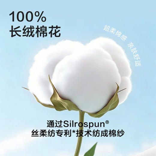 MM 山姆 Member's Mark 吸湿速干棉男短袜 8双装 混色 商品图2