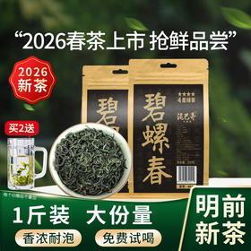 2026新茶4星碧螺春耐泡绿茶500克1斤装泥巴哥正品口粮茶