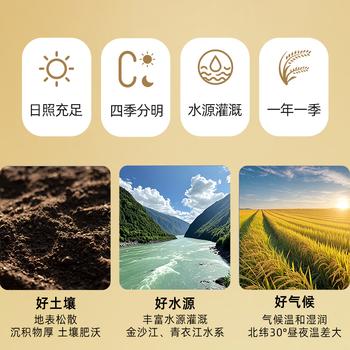 花中花 彝品香米10斤 原彝家香米南方大米 一级香米 长粒米10斤真空包装 /粮油调味 /米 /其他大米 商品图5