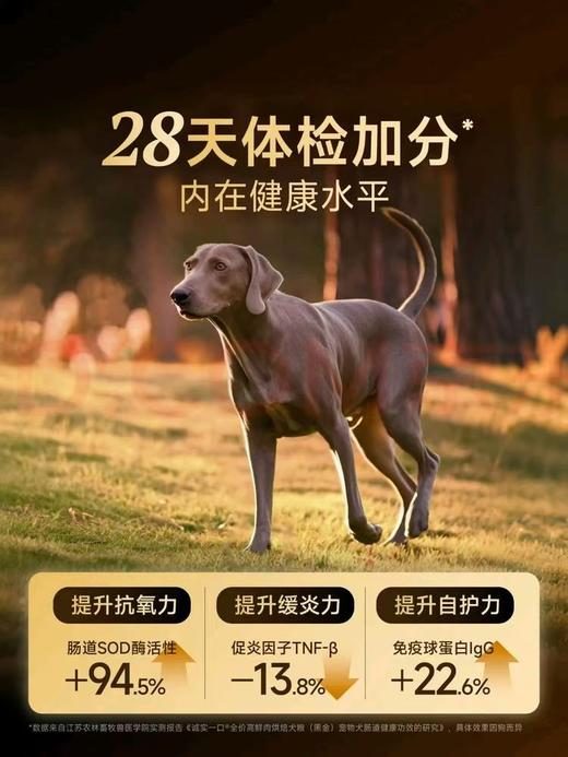 【新品】诚实一口小金袋鲜肉烘焙肠胃调理增强免疫力1.8kg-2kg猫粮狗粮 商品图8