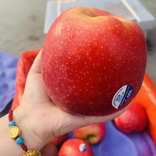 新西兰红玫瑰苹果 商品图1