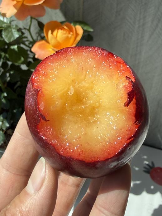 澳洲珠宝李 商品图2